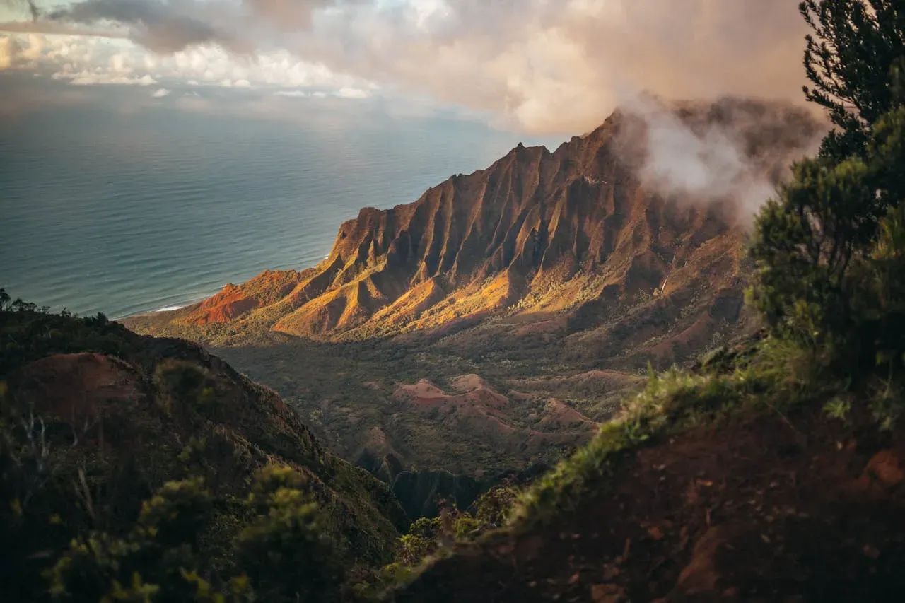 Denic mountain landscape seen the ocean i the background with a lush forrest in golden hour | Picture by Roberto Nickson: https://www.pexels.com/de-de/foto/brown-mountains-2559941/